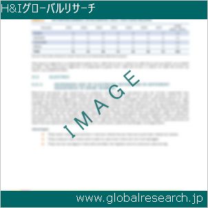 グローバルリサーチ調査レポートのイメージ